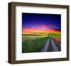 Sunset Over Field with Grass.-null-Framed Art Print