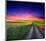 Sunset Over Field with Grass.-null-Mounted Art Print