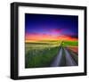 Sunset Over Field with Grass.-null-Framed Art Print