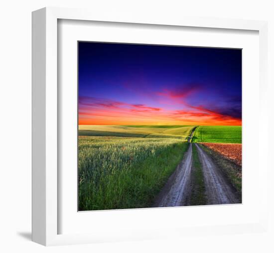 Sunset Over Field with Grass.-null-Framed Art Print