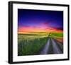 Sunset Over Field with Grass.-null-Framed Art Print