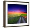 Sunset Over Field with Grass.-null-Framed Art Print