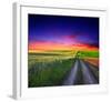 Sunset Over Field with Grass.-null-Framed Art Print