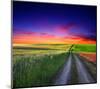 Sunset Over Field with Grass.-null-Mounted Art Print