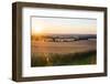 Sunset over Fields Just Outside Guildford, Surrey, England, United Kingdom, Europe-Matthew Williams-Ellis-Framed Photographic Print