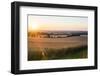 Sunset over Fields Just Outside Guildford, Surrey, England, United Kingdom, Europe-Matthew Williams-Ellis-Framed Photographic Print