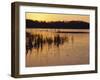 Sunset Over Frozen Frensham Pond, Frensham, Surrey England, UK, Europe-Pearl Bucknell-Framed Photographic Print