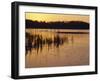 Sunset Over Frozen Frensham Pond, Frensham, Surrey England, UK, Europe-Pearl Bucknell-Framed Photographic Print