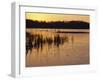Sunset Over Frozen Frensham Pond, Frensham, Surrey England, UK, Europe-Pearl Bucknell-Framed Photographic Print