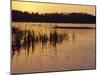 Sunset Over Frozen Frensham Pond, Frensham, Surrey England, UK, Europe-Pearl Bucknell-Mounted Photographic Print