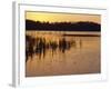 Sunset Over Frozen Frensham Pond, Frensham, Surrey England, UK, Europe-Pearl Bucknell-Framed Photographic Print