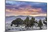 Sunset over Great Sand Dunes National Park-Howie Garber-Mounted Photographic Print