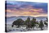 Sunset over Great Sand Dunes National Park-Howie Garber-Stretched Canvas