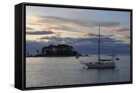 Sunset over Haulashore Island, Nelson, Nelson Region, South Island, New Zealand, Pacific-Stuart-Framed Stretched Canvas