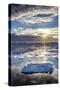 Sunset over Ice Floes and Icebergs, Near Pleneau Island, Antarctica, Southern Ocean, Polar Regions-Michael Nolan-Stretched Canvas