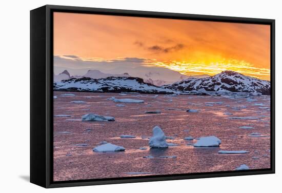 Sunset over Ice Floes and Icebergs, Near Pleneau Island, Antarctica, Southern Ocean, Polar Regions-Michael Nolan-Framed Stretched Canvas