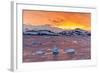 Sunset over Ice Floes and Icebergs, Near Pleneau Island, Antarctica, Southern Ocean, Polar Regions-Michael Nolan-Framed Photographic Print