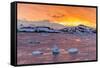 Sunset over Ice Floes and Icebergs, Near Pleneau Island, Antarctica, Southern Ocean, Polar Regions-Michael Nolan-Framed Stretched Canvas