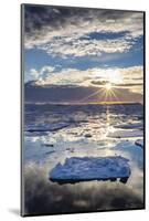 Sunset over Ice Floes and Icebergs, Near Pleneau Island, Antarctica, Southern Ocean, Polar Regions-Michael Nolan-Mounted Photographic Print