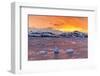 Sunset over Ice Floes and Icebergs, Near Pleneau Island, Antarctica, Southern Ocean, Polar Regions-Michael Nolan-Framed Photographic Print