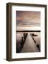 Sunset Over Jetty-Danita Delimont-Framed Photo