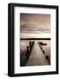 Sunset Over Jetty-Danita Delimont-Framed Photo