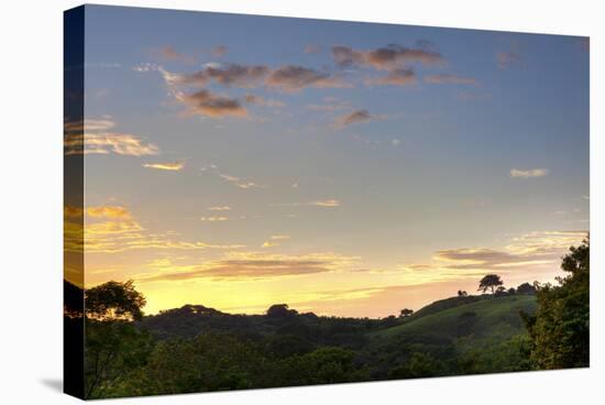 Sunset over Jungle Clearing-Nish Nalbandian-Stretched Canvas