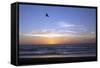 Sunset over La Jolla Coast, California, United States of America, North America-Thomas L-Framed Stretched Canvas