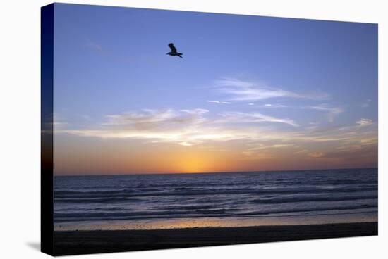 Sunset over La Jolla Coast, California, United States of America, North America-Thomas L-Stretched Canvas