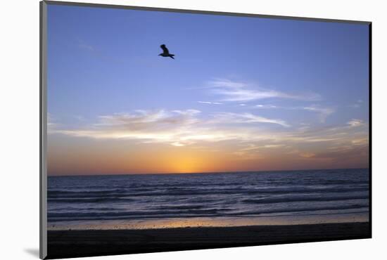 Sunset over La Jolla Coast, California, United States of America, North America-Thomas L-Mounted Photographic Print