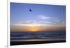 Sunset over La Jolla Coast, California, United States of America, North America-Thomas L-Framed Premium Photographic Print