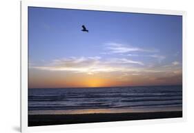 Sunset over La Jolla Coast, California, United States of America, North America-Thomas L-Framed Photographic Print