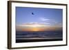 Sunset over La Jolla Coast, California, United States of America, North America-Thomas L-Framed Photographic Print