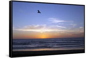 Sunset over La Jolla Coast, California, United States of America, North America-Thomas L-Framed Stretched Canvas