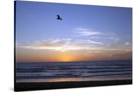 Sunset over La Jolla Coast, California, United States of America, North America-Thomas L-Stretched Canvas