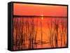 Sunset over Lake Hamilton-James Randklev-Framed Stretched Canvas