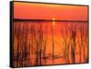 Sunset over Lake Hamilton-James Randklev-Framed Stretched Canvas