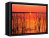 Sunset over Lake Hamilton-James Randklev-Framed Stretched Canvas