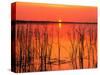 Sunset over Lake Hamilton-James Randklev-Stretched Canvas