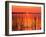 Sunset over Lake Hamilton-James Randklev-Framed Photographic Print