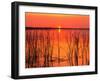 Sunset over Lake Hamilton-James Randklev-Framed Photographic Print