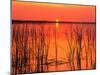 Sunset over Lake Hamilton-James Randklev-Mounted Photographic Print