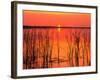 Sunset over Lake Hamilton-James Randklev-Framed Photographic Print