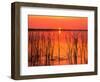 Sunset over Lake Hamilton-James Randklev-Framed Photographic Print