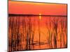 Sunset over Lake Hamilton-James Randklev-Mounted Photographic Print