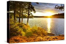 Sunset over Lake of Two Rivers in Algonquin Park, Ontario, Canada-elenathewise-Stretched Canvas