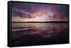 Sunset over Lake Washington. Seattle, Washington-Steven Gnam-Framed Stretched Canvas