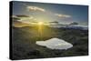 Sunset over Lava and Moss Landscape, Svinafellsjokull Glacier, Iceland-Arctic-Images-Stretched Canvas