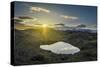 Sunset over Lava and Moss Landscape, Svinafellsjokull Glacier, Iceland-Arctic-Images-Stretched Canvas