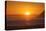Sunset over Marlborough Sounds-Nick-Stretched Canvas